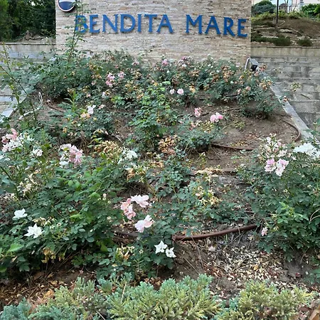 Appartamento - Bendita Mare